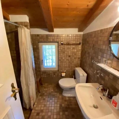A9ronco Sopra Ascona Apt Sasso Marco Apartment Ronco sopra Ascona